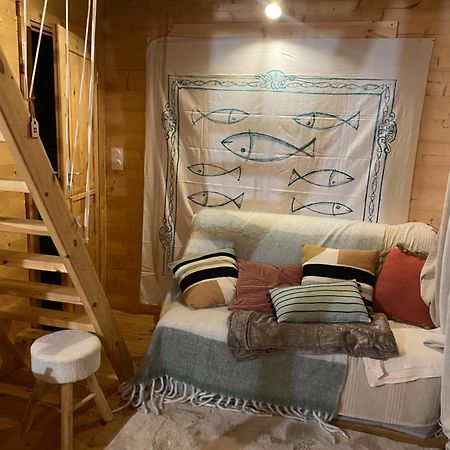 Maison En Bois 1 Chambre 4 Couchages Type Tiny House Granville Bagian luar foto